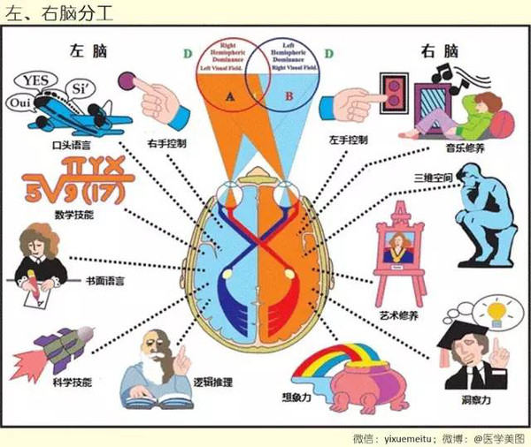 创意广告的文化市场细分，你了解多少？